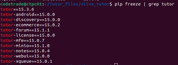 How-to-Install-Tutor-Dev-Olive-in-Easy-Steps-6