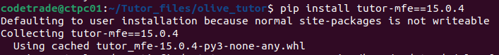 How-to-Install-Tutor-Dev-Olive-in-Easy-Steps-8