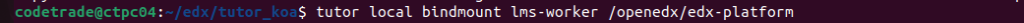 Mounting-in-Tutor-Dev-Koa-tutor-local-lms-worker-bidmount