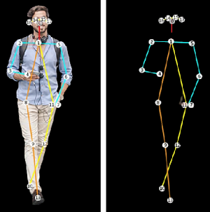 How-Pose-Estimation-Works1